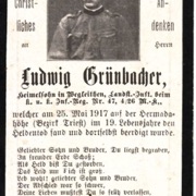 Ludwig Grüenbacher